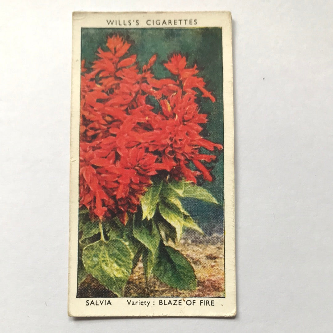 Wills Cigarette Cards GARDEN FLOWERS 1939 1930s - Pick! the ones you want