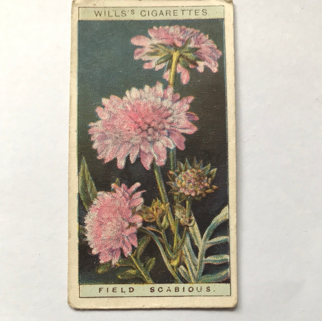 Wills Cigarette Cards WILD FLOWERS Various series, sold individually