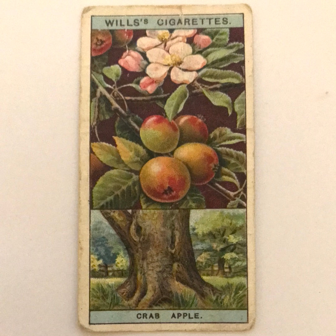 Wills Cigarette Cards - FLOWERING TREES AND SHRUBS - Sold Individually- take your pick 1920s 1924