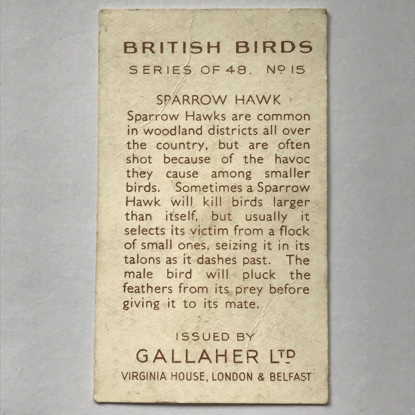 Gallaher Cigarette Cards BRITISH BIRDS Sold Individually- take your pick