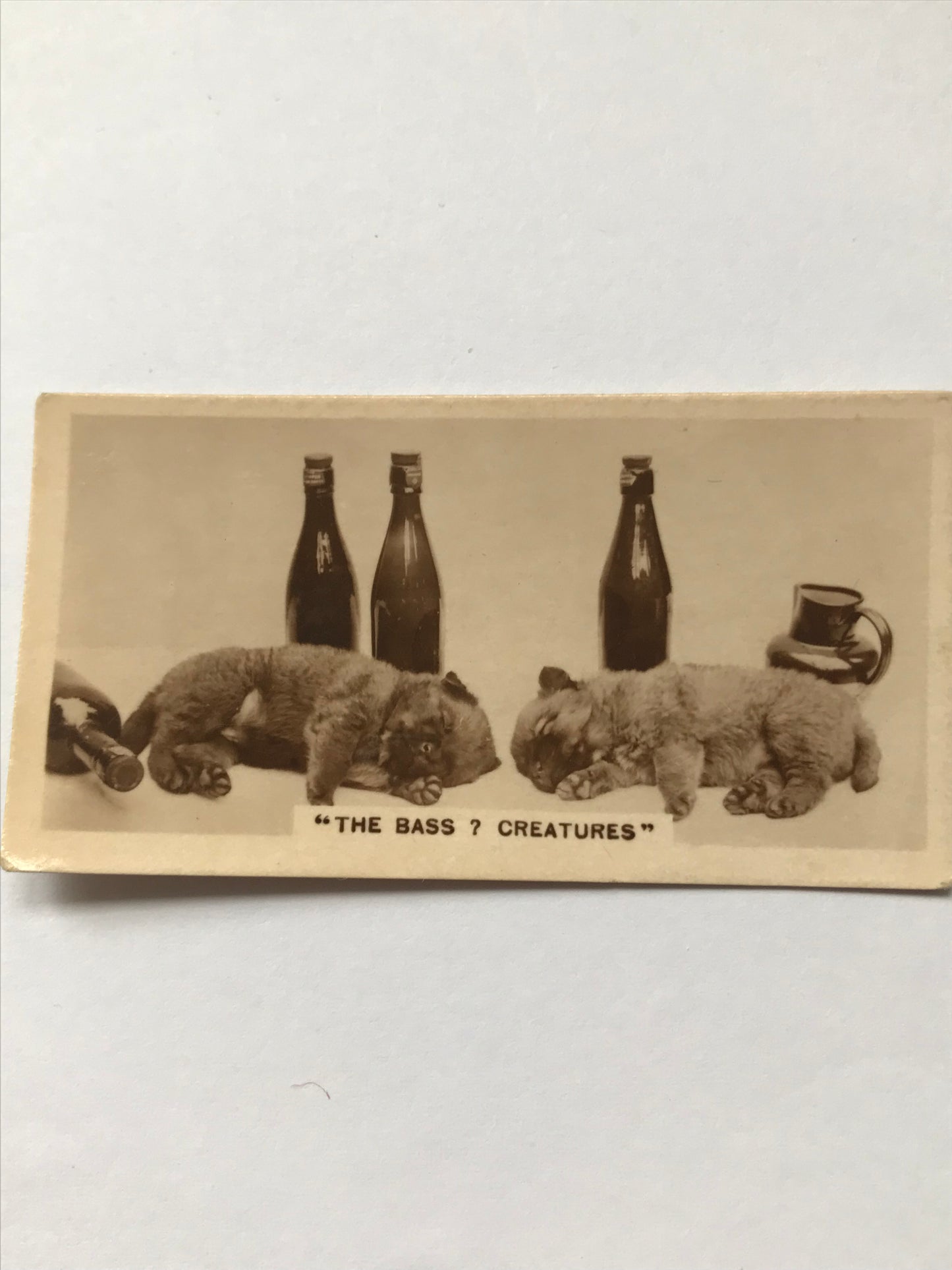 Millhoff De Reszke cigarette card 3rd series no. 13 THE BASS 7 CREATURES Bass beer drunken puppies photo 1930s 1932