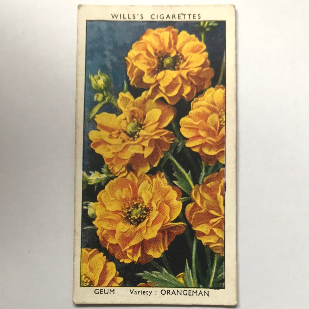 Wills Cigarette Cards GARDEN FLOWERS 1939 1930s - Pick! the ones you want
