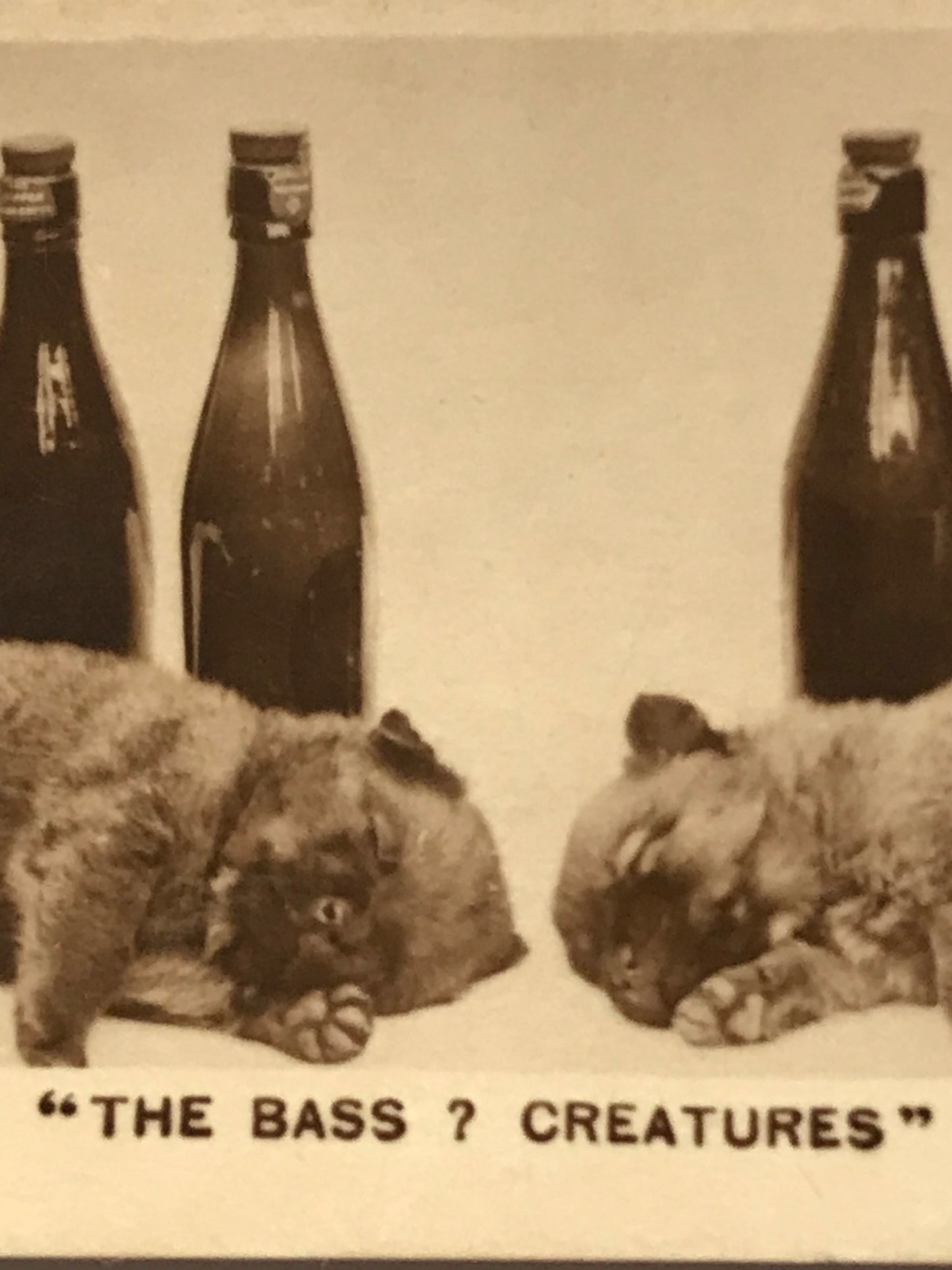 Millhoff De Reszke cigarette card 3rd series no. 13 THE BASS 7 CREATURES Bass beer drunken puppies photo 1930s 1932
