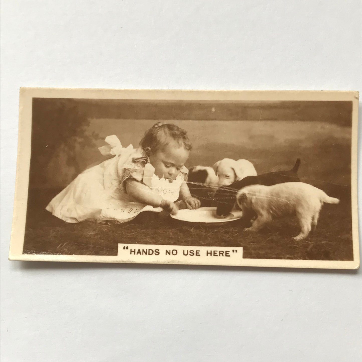 Millhoff De Reszke cigarette card - 4th series No. 25 - HANDS NO USE HERE - cute photo baby and puppies with saucer of milk 1930s