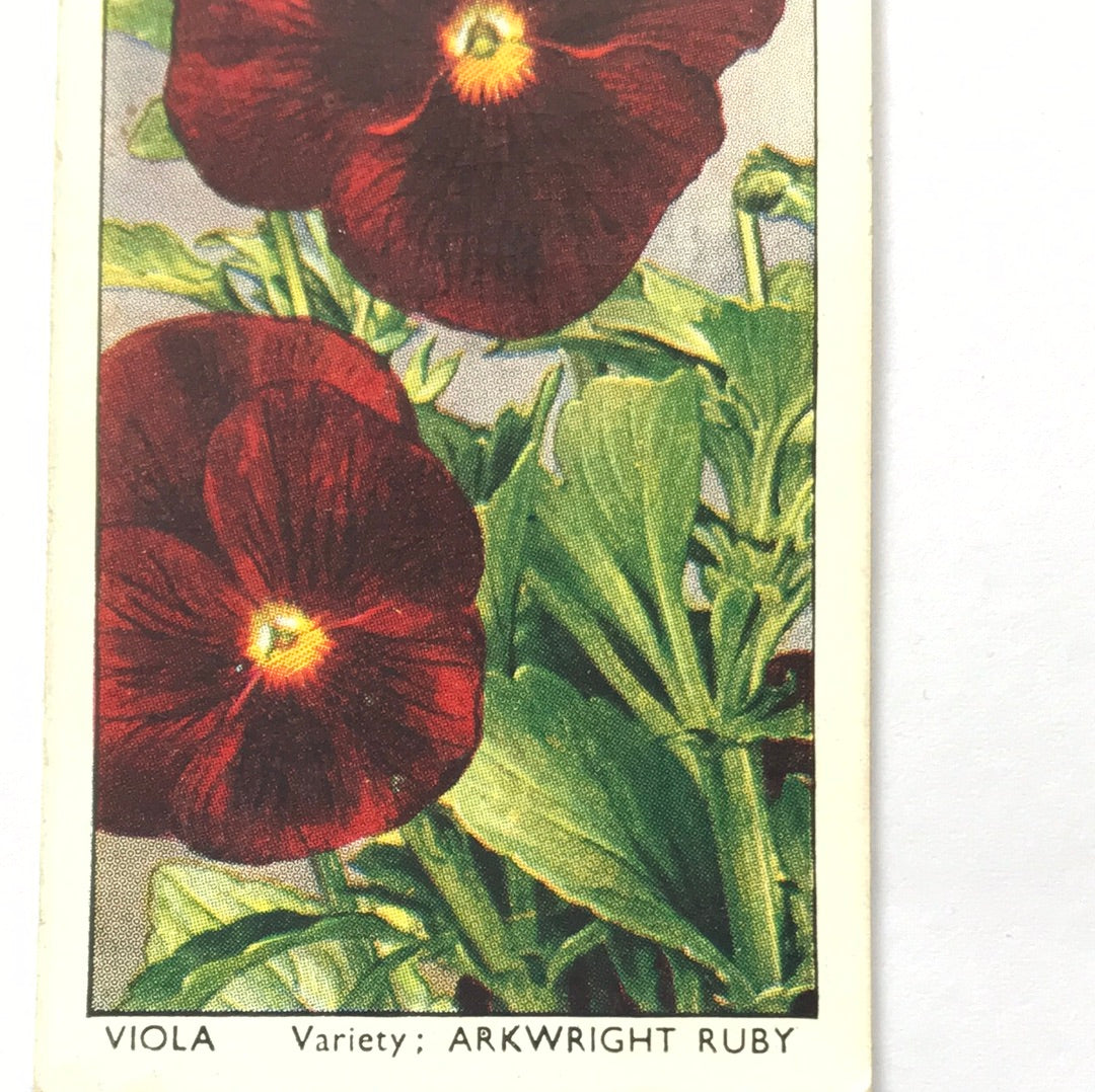 Wills Cigarette Cards GARDEN FLOWERS 1939 1930s - Pick! the ones you want