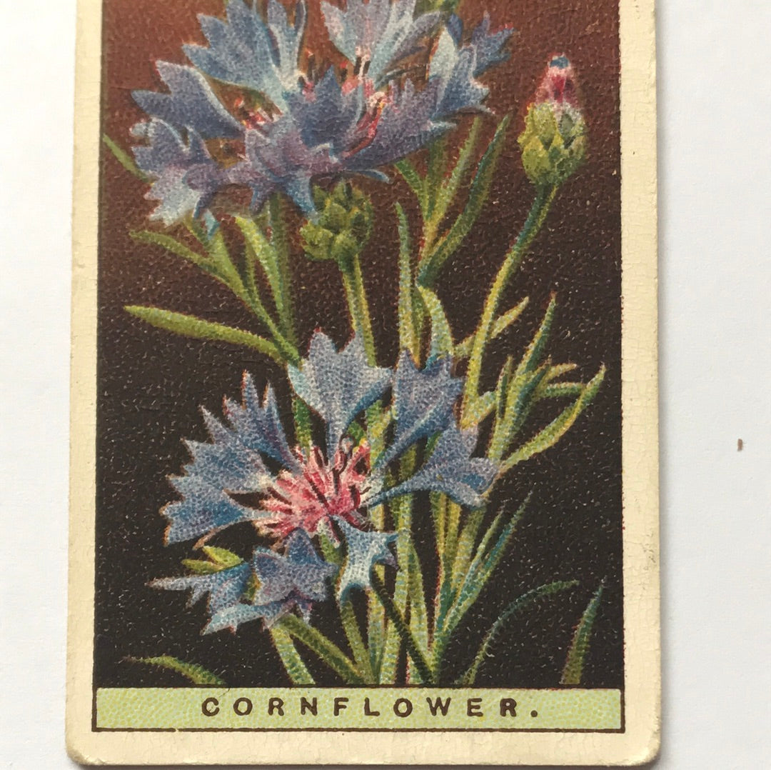 Wills Cigarette Cards WILD FLOWERS Various series, sold individually