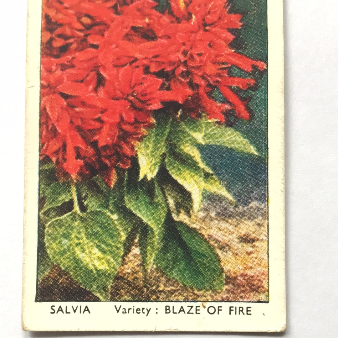 Wills Cigarette Cards GARDEN FLOWERS 1939 1930s - Pick! the ones you want
