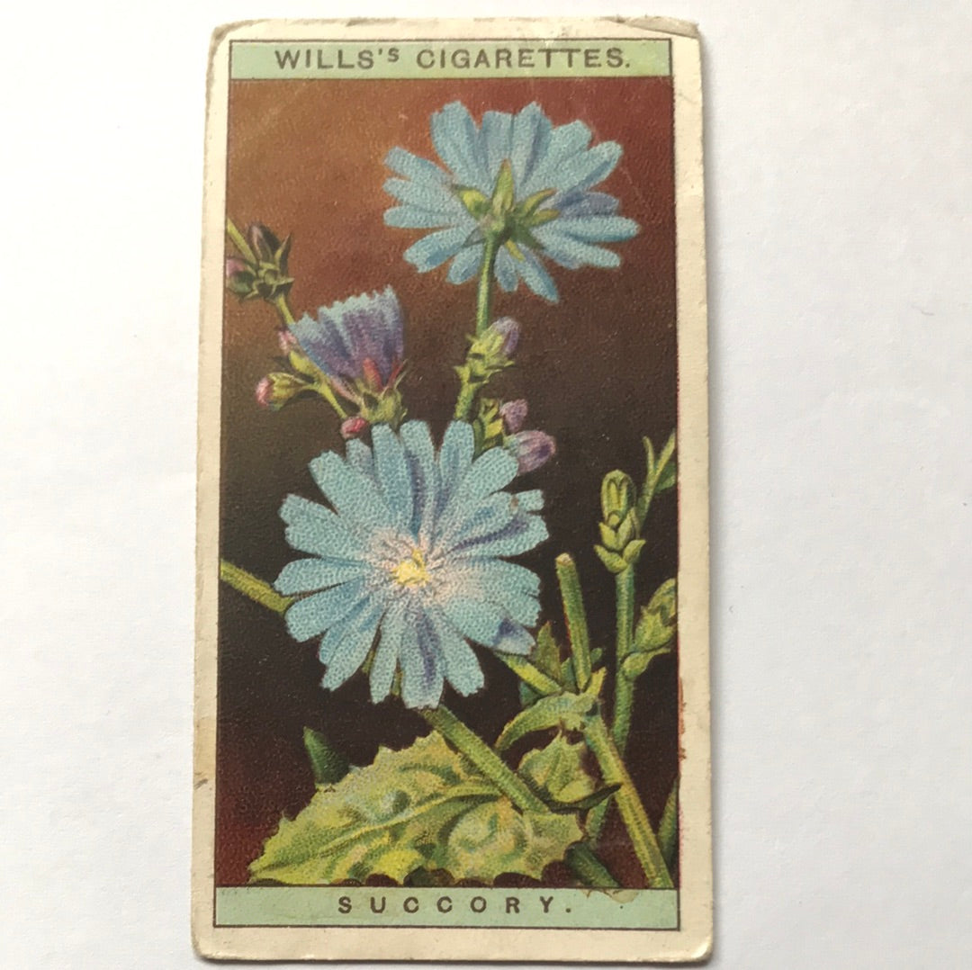 Wills Cigarette Cards WILD FLOWERS Various series, sold individually