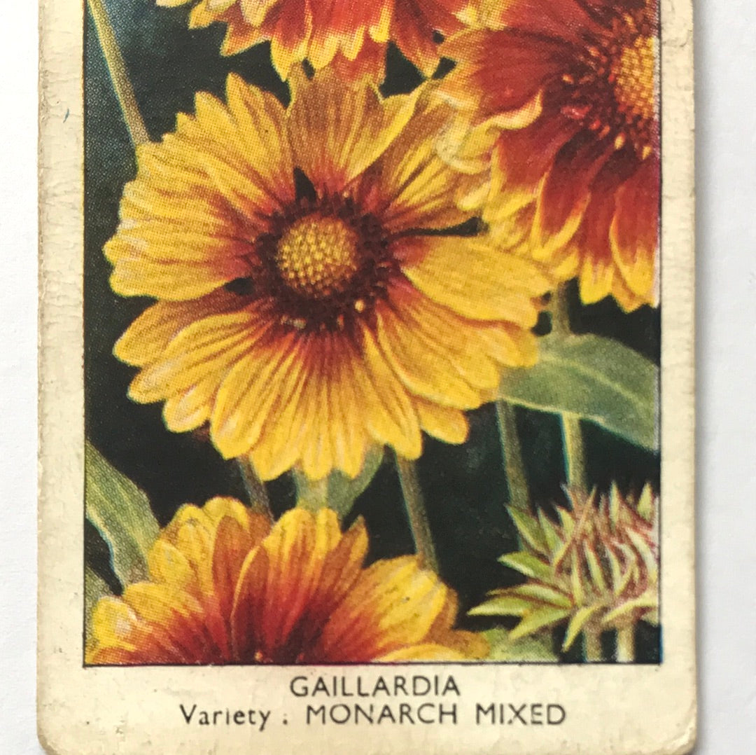Wills Cigarette Cards GARDEN FLOWERS 1939 1930s - Pick! the ones you want