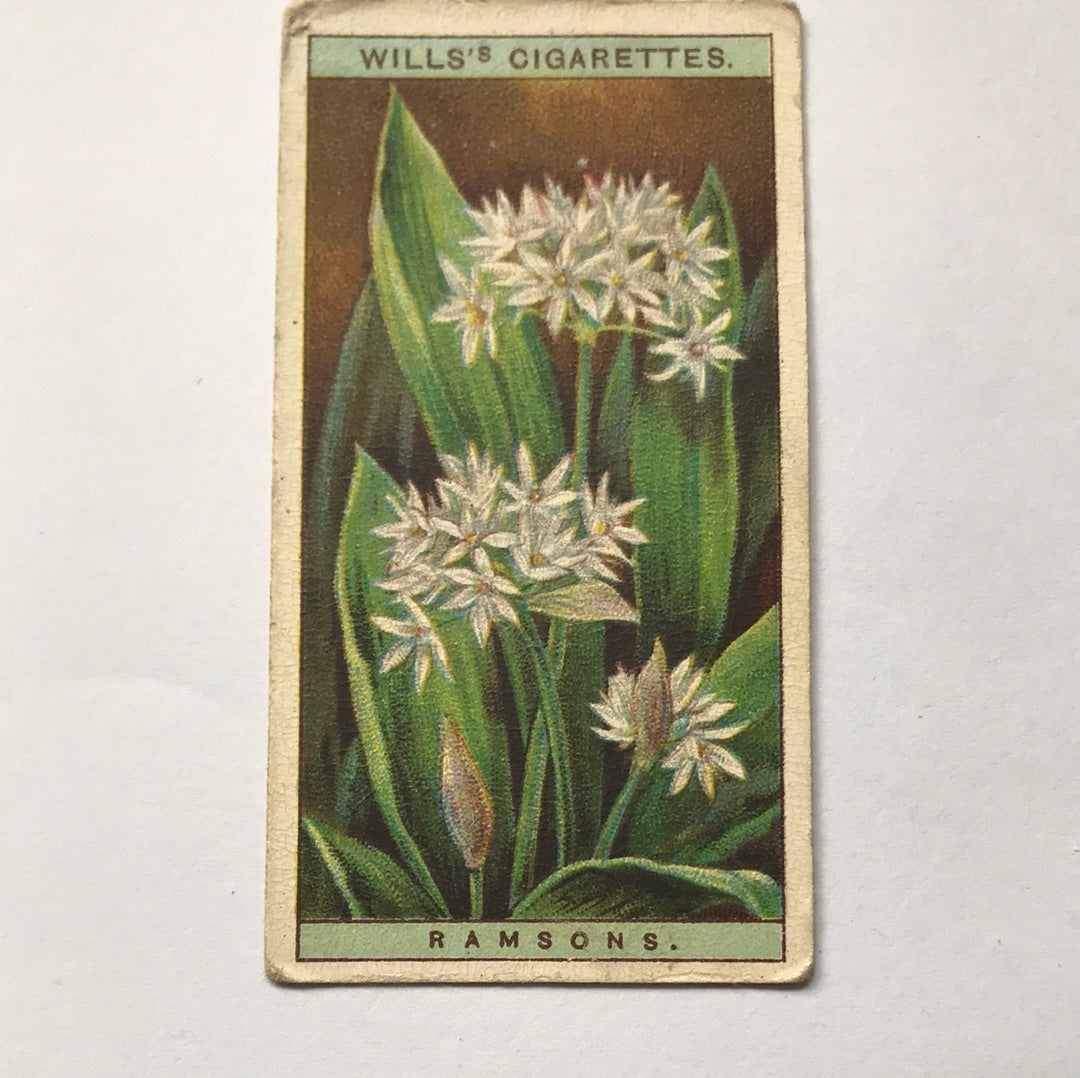 Wills Cigarette Cards WILD FLOWERS Various series, sold individually