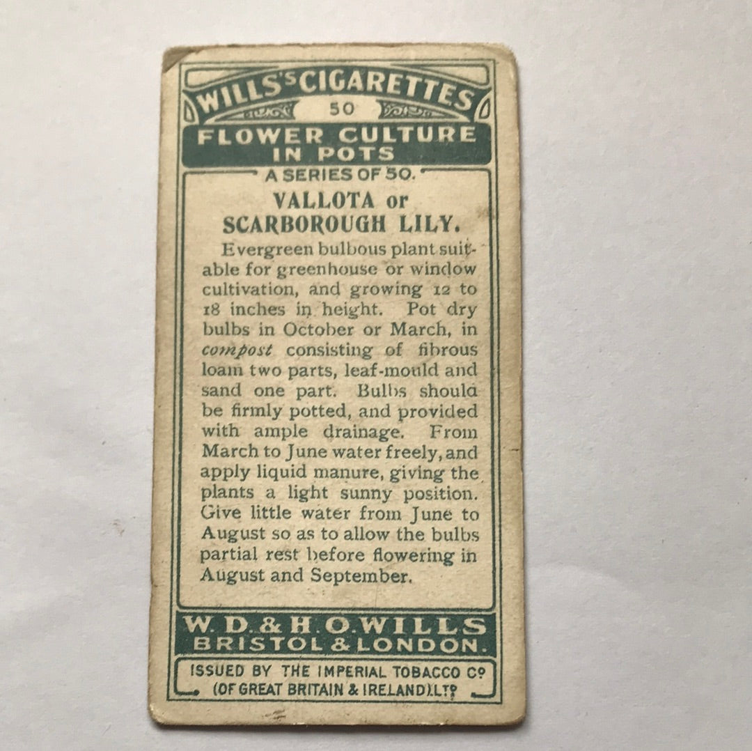 Wills Cigarette Cards FLOWER CULTURE IN POTS Sold individually - take your pick - 1920s 1925