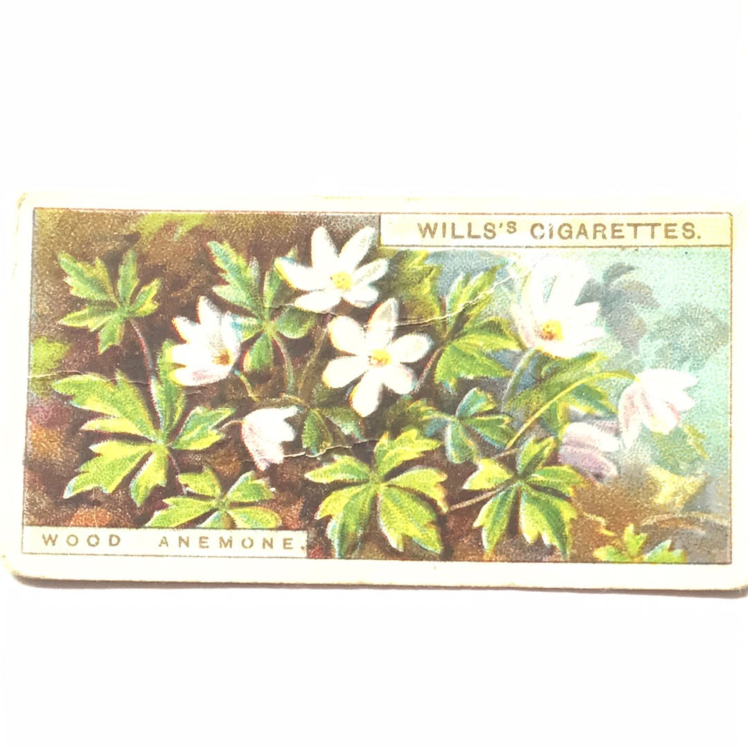 Wills Cigarette Cards WILD FLOWERS Various series, sold individually