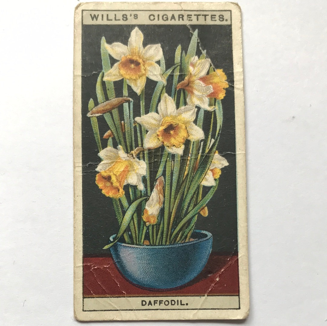 Wills Cigarette Cards FLOWER CULTURE IN POTS Sold individually - take your pick - 1920s 1925