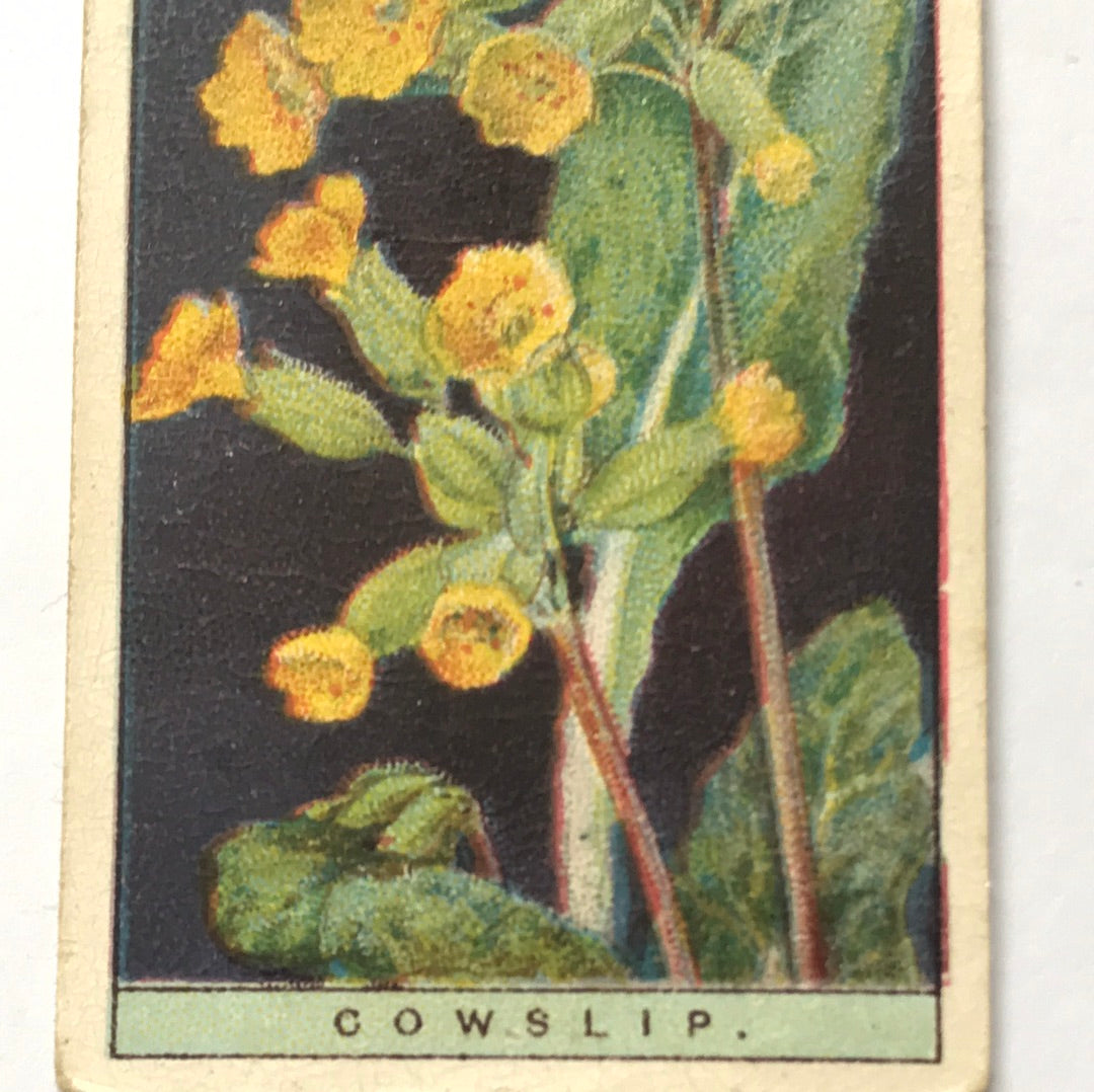 Wills Cigarette Cards WILD FLOWERS Various series, sold individually