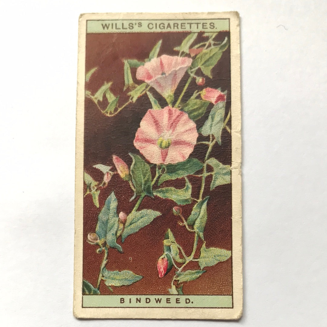 Wills Cigarette Cards WILD FLOWERS Various series, sold individually