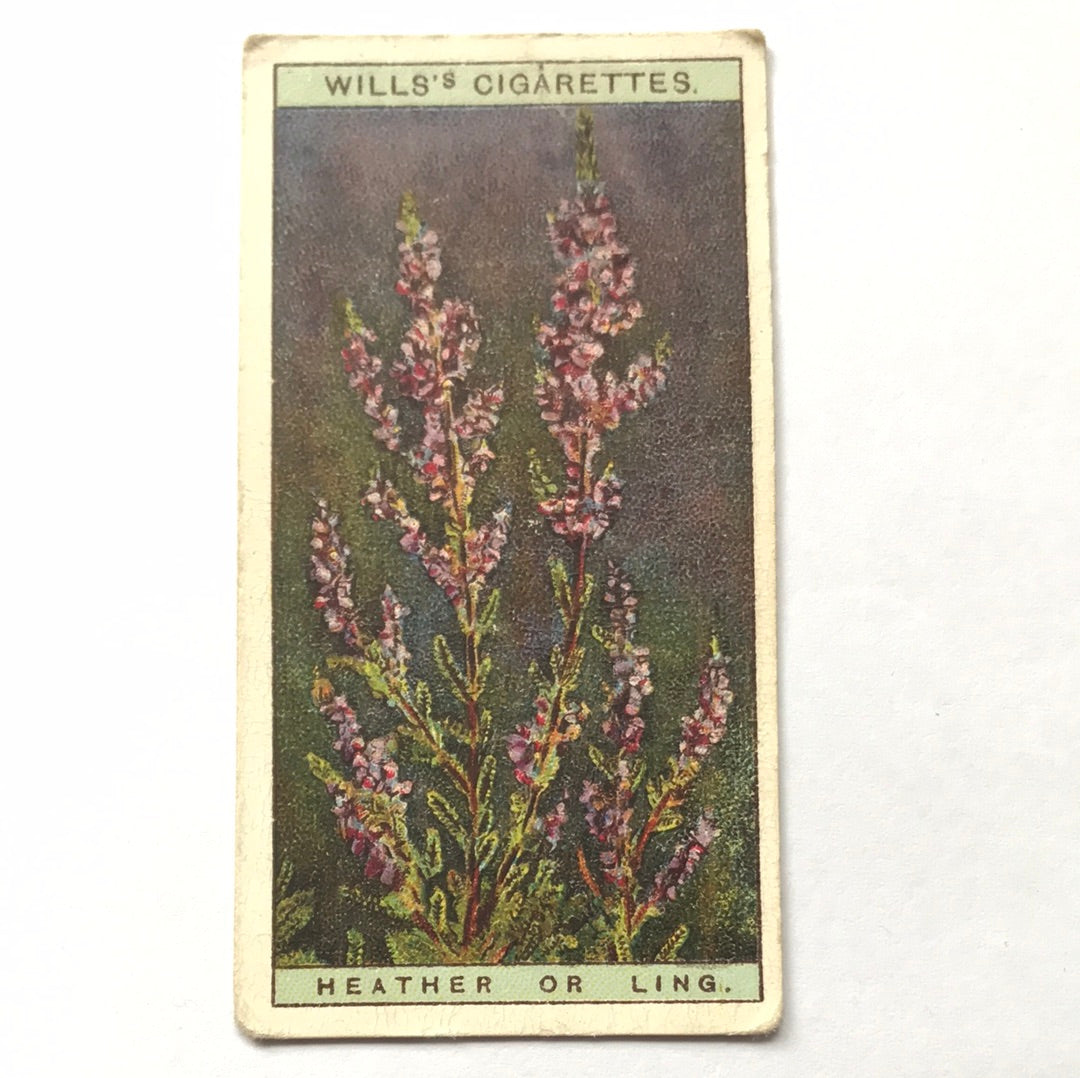 Wills Cigarette Cards WILD FLOWERS Various series, sold individually