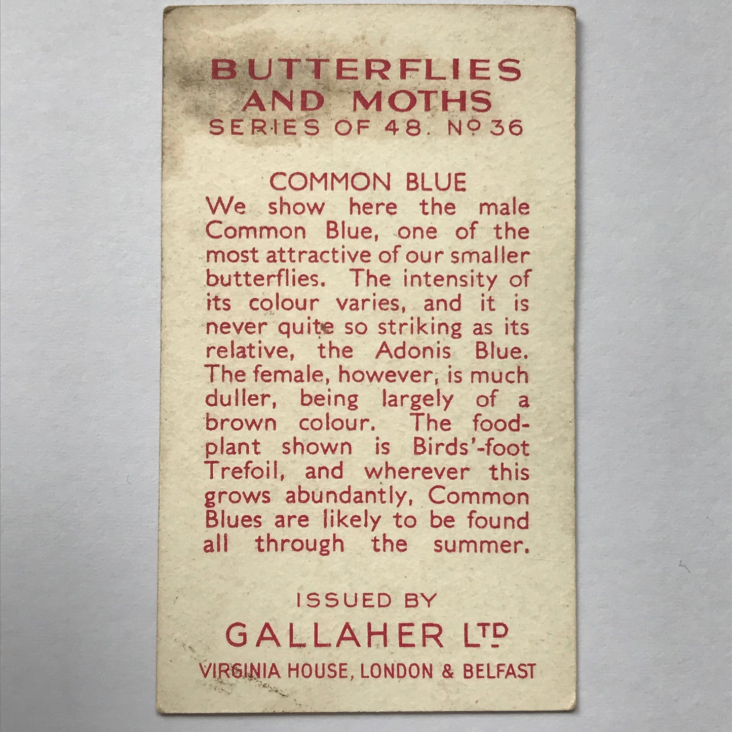 Gallaher Cigarette Cards BUTTERFLIES AND MOTHS 1938 Sold Individually - take your pick