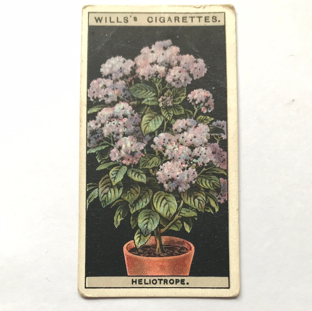 Wills Cigarette Cards FLOWER CULTURE IN POTS Sold individually - take your pick - 1920s 1925