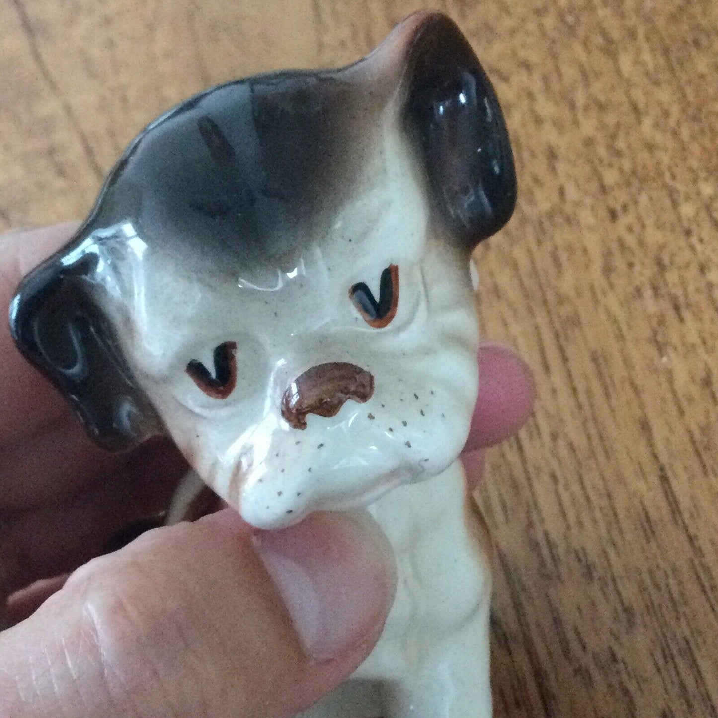 Cute Vintage Puppy Dog Ornament Sitting Brown and Cream Jowls Boxer?