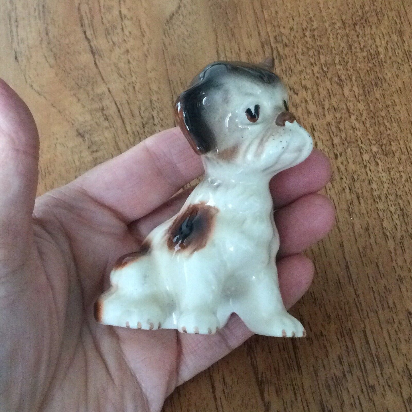 Cute Vintage Puppy Dog Ornament Sitting Brown and Cream Jowls Boxer?