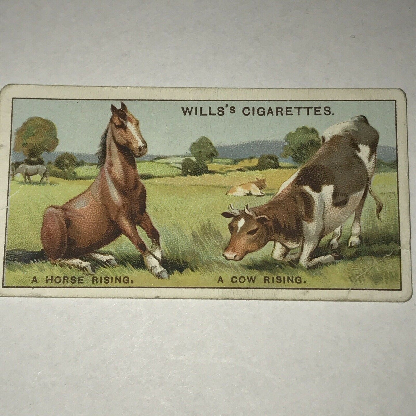 Wills Cigarette Cards DO YOU KNOW? Various series, sold individually