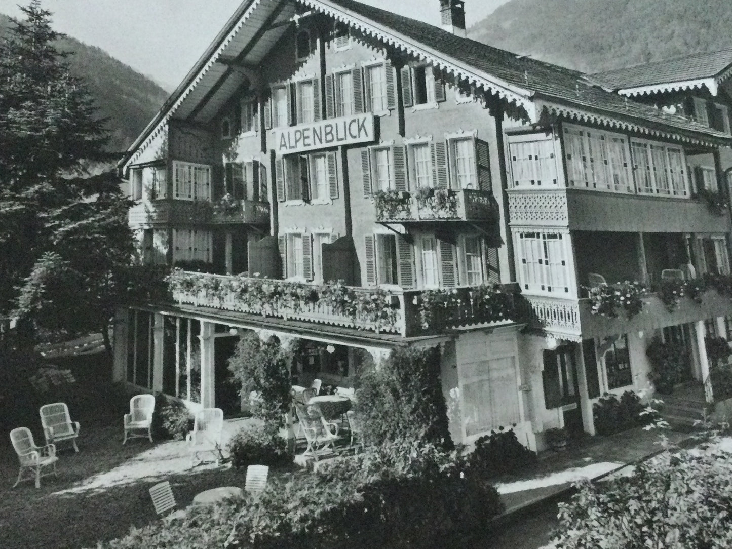 Vintage 1920s postcard b&w Hotel Alpenblick Wilderswill SWITZERLAND springtime