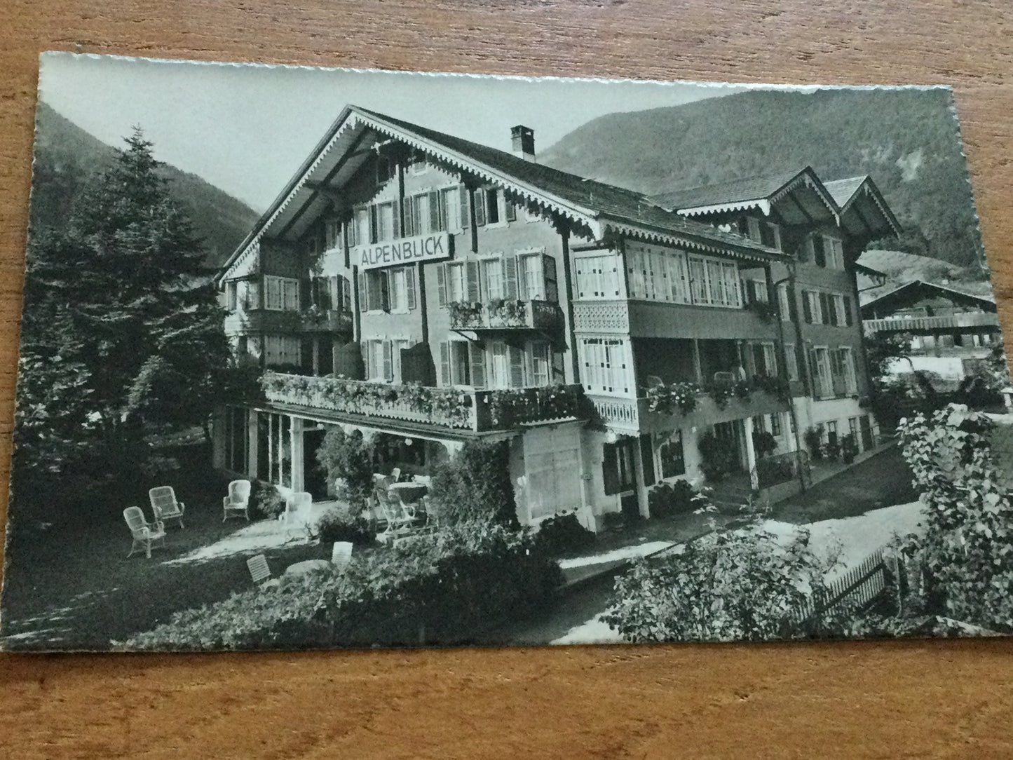 Vintage 1920s postcard b&w Hotel Alpenblick Wilderswill SWITZERLAND springtime