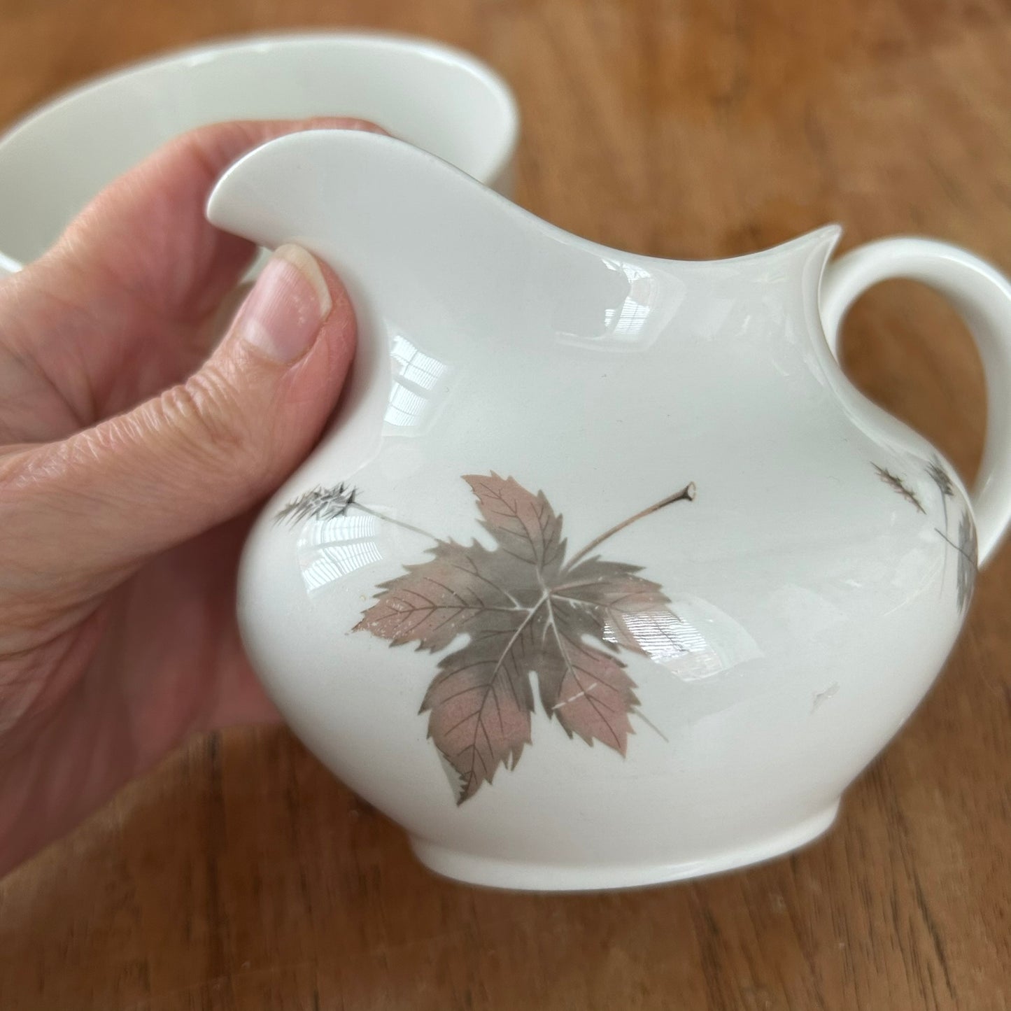 Royal Doulton Tumbling Leaves Milk Jug and Sugar Bowl Set – Autumnal Elegance