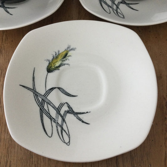 Spare saucer for demitasse cup. Midwinter Bali Hai by John Russell. 1960s retro grass design.