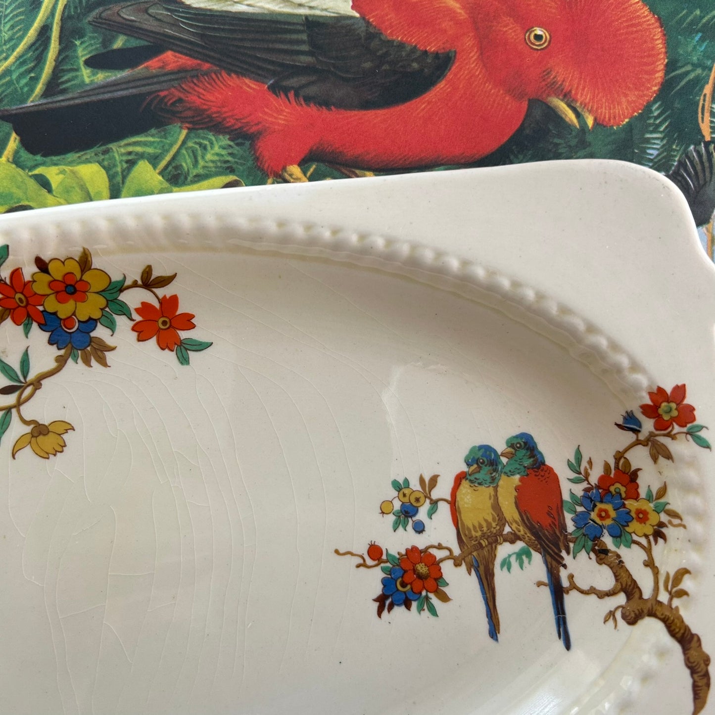 Vintage 1930s Art Deco Sandwich Platter – Royal Stafford – Parrot / Parakeet Design