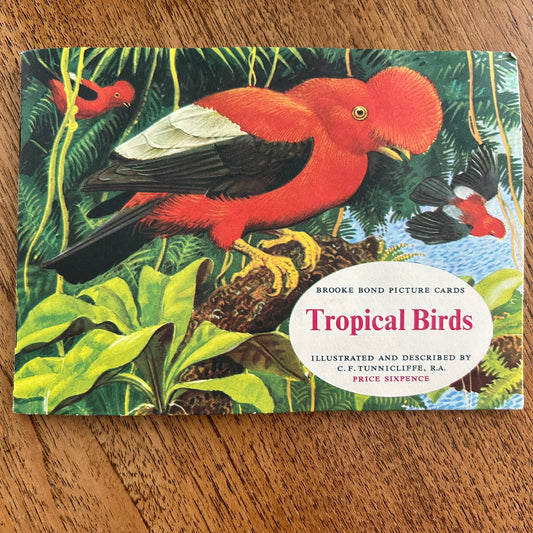 Vintage Brooke Bond Tea Picture Cards – Tropical Birds – Complete Album - 1961 - 1960s.