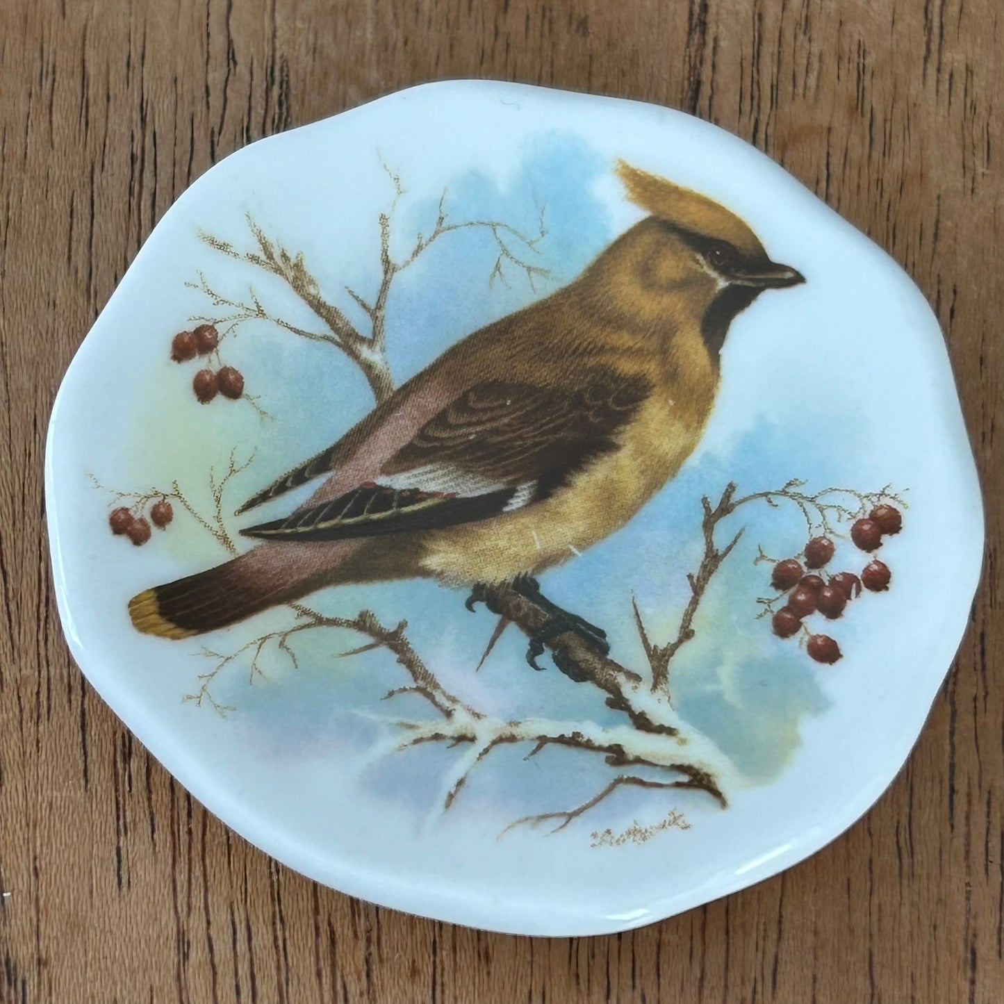 Mini Pin Dish / Trinket Plate - Waxwing - British Bird - Winter Scene - Bone China - Made In Britain