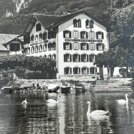 Vintage Postcard - SWITZERLAND - Hotel Baren in Brienz - Mountains in background and swans on lake