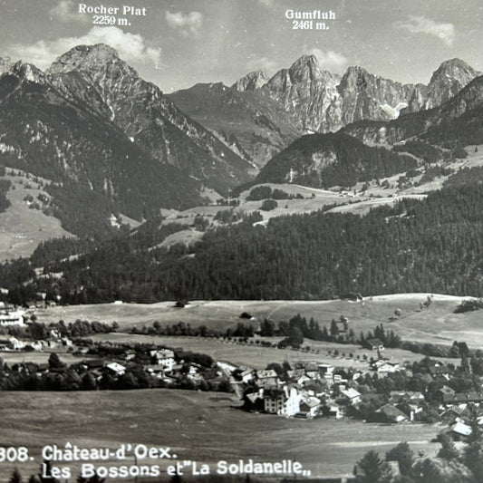 Vintage Postcard 1930s - 1933 - SWITZERLAND - Chateaux-d'Oex - Les Bossons et La Soldanelle  - Black and white