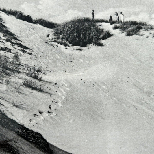 Vintage Postcard - DENMARK - Sondervig - Sand Dunes -  Black and white