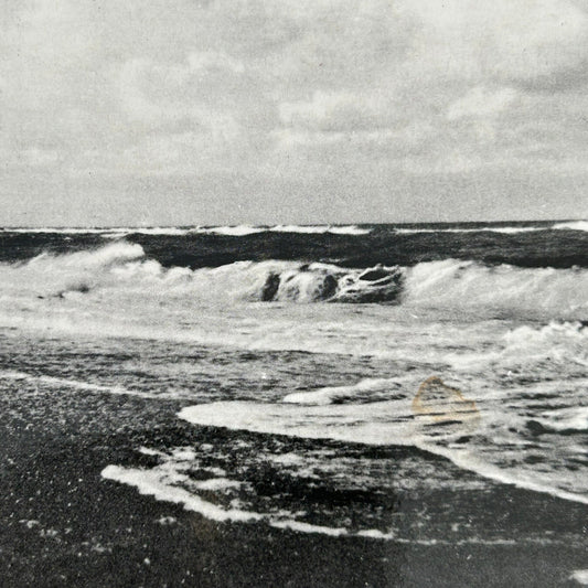 Vintage Postcard - DENMARK - Lavbraending ved Holmslands Klit. - Seascape-  Black and white