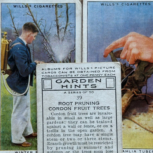 Wills Cigarette Cards - Garden Hints - 1938 - Sold Individually - Please pick from the drop-down menu