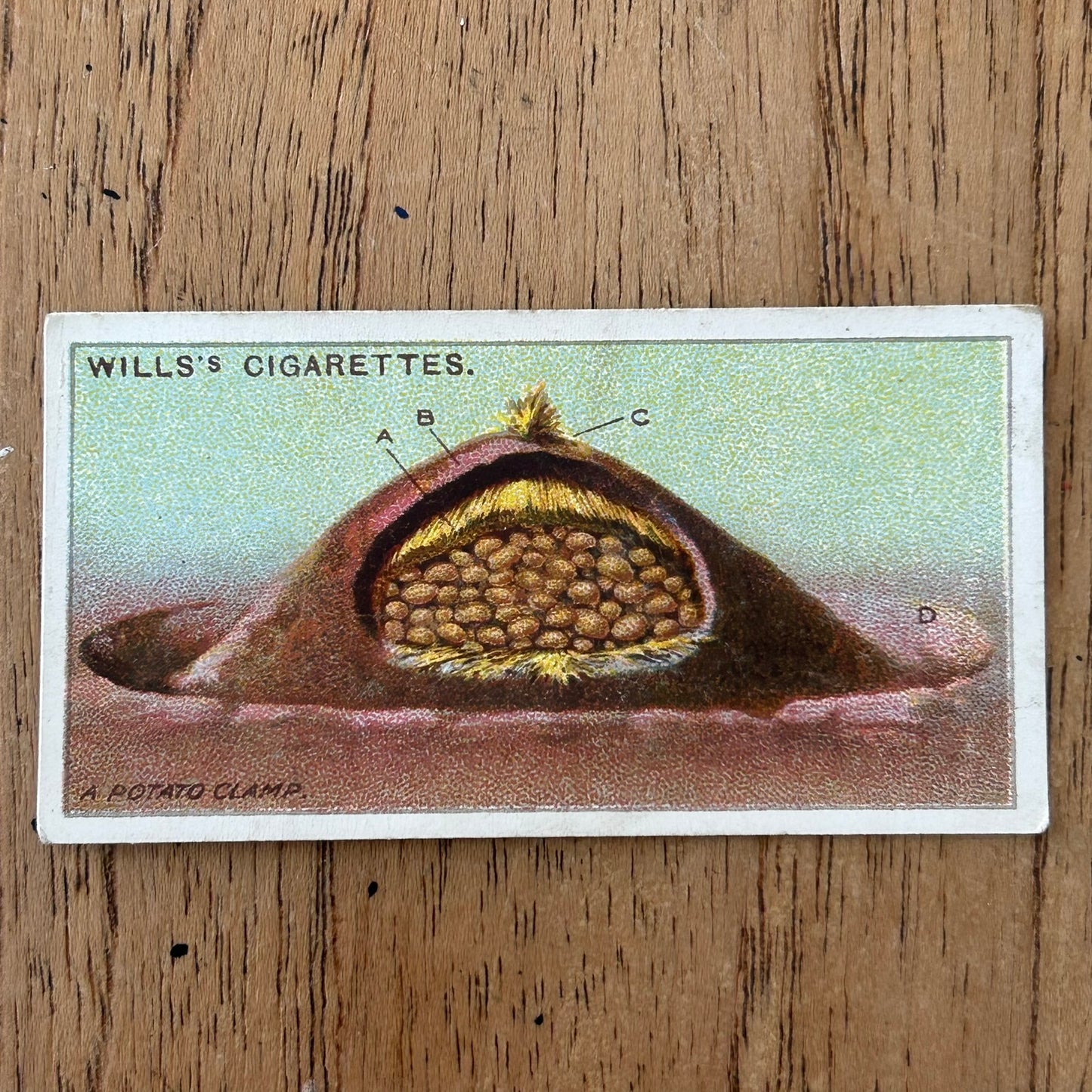 Wills Cigarette Cards GARDENING HINTS 1938. Sold individually so take your pick.