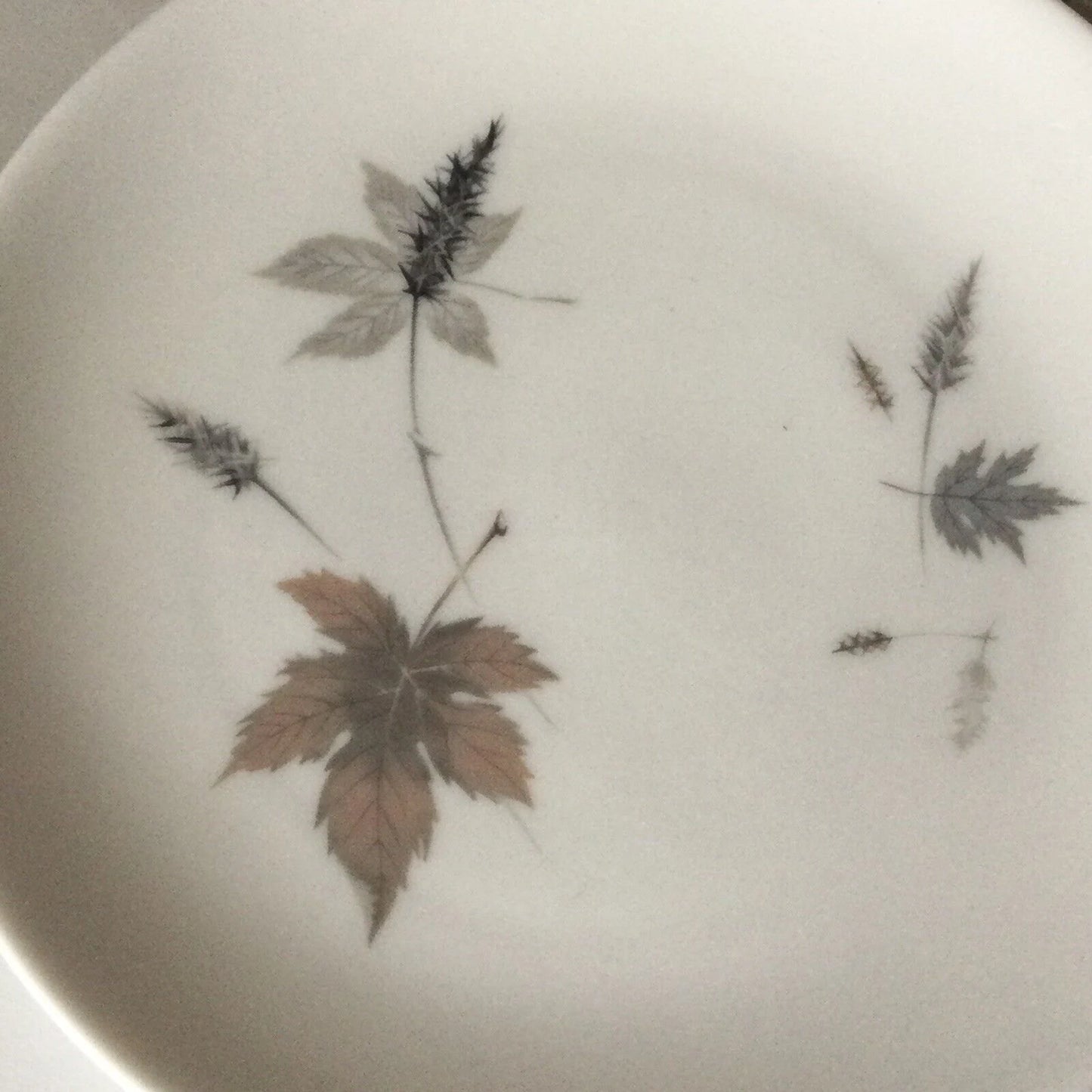 Royal Doulton Tumbling Leaves 16cm Side Plates Set Of 8. Autumnal. 60s 70s