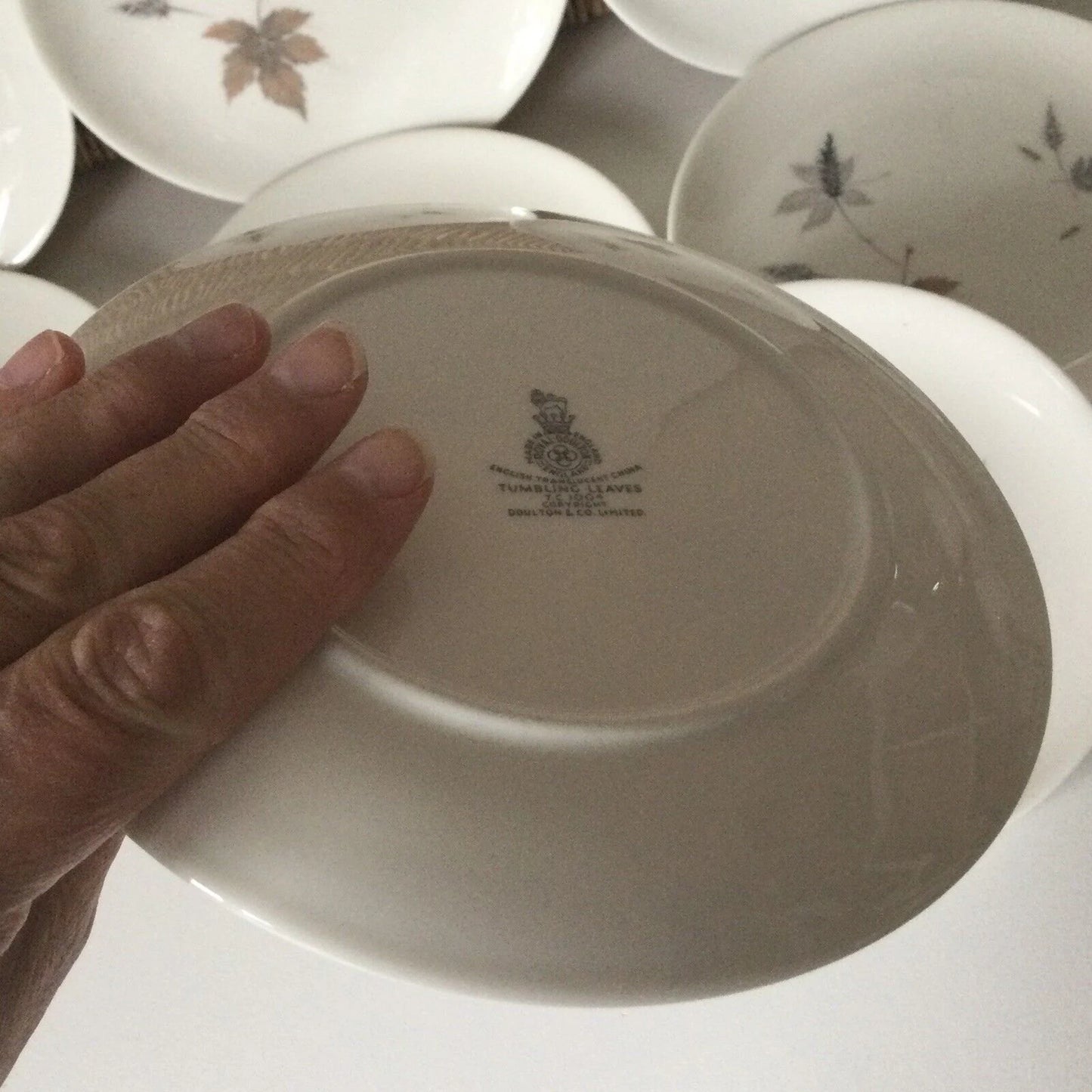 Royal Doulton Tumbling Leaves 16cm Side Plates Set Of 8. Autumnal. 60s 70s