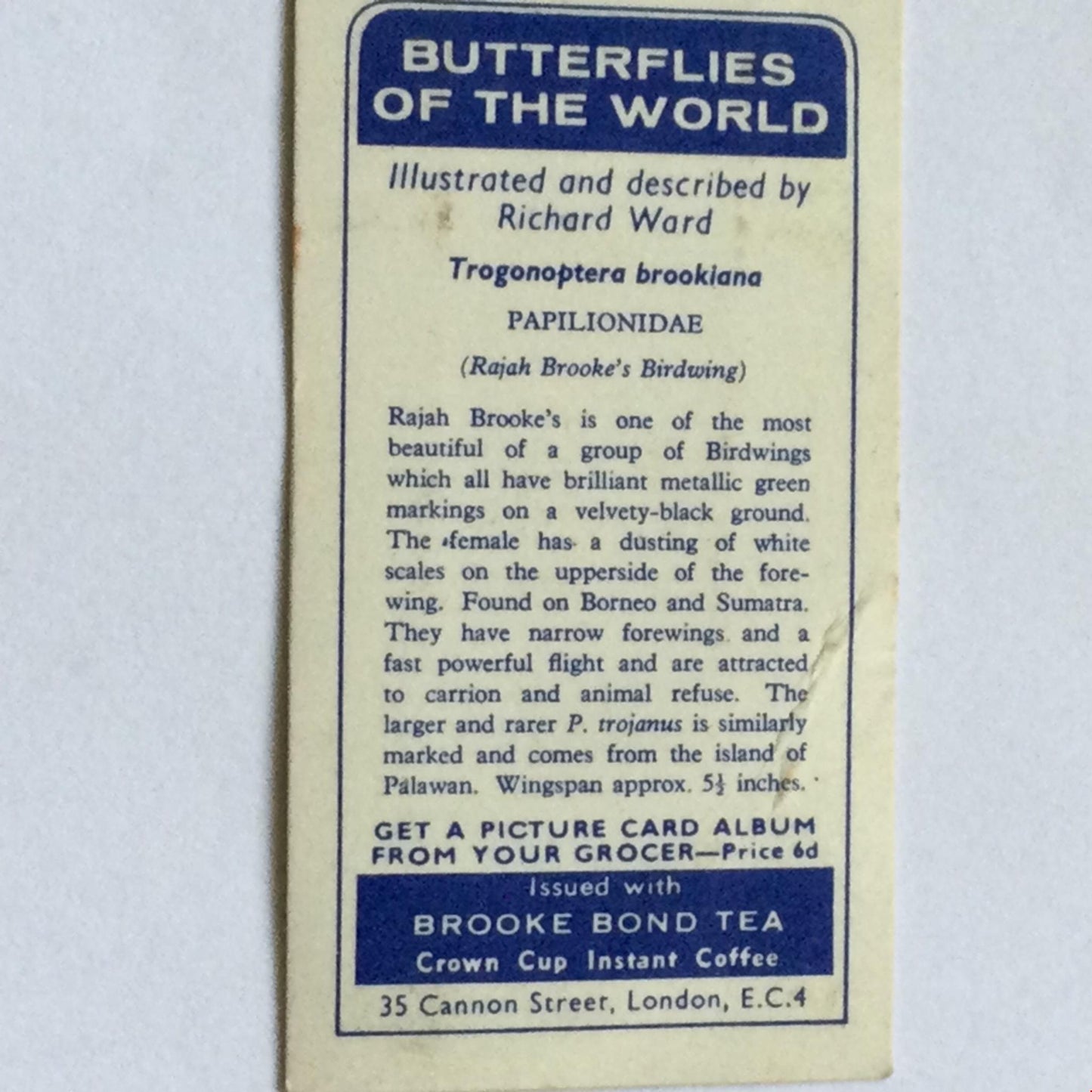 BUTTERFLIES OF THE WORLD- Brooke Bond Tea Cards- sold individually 1960s