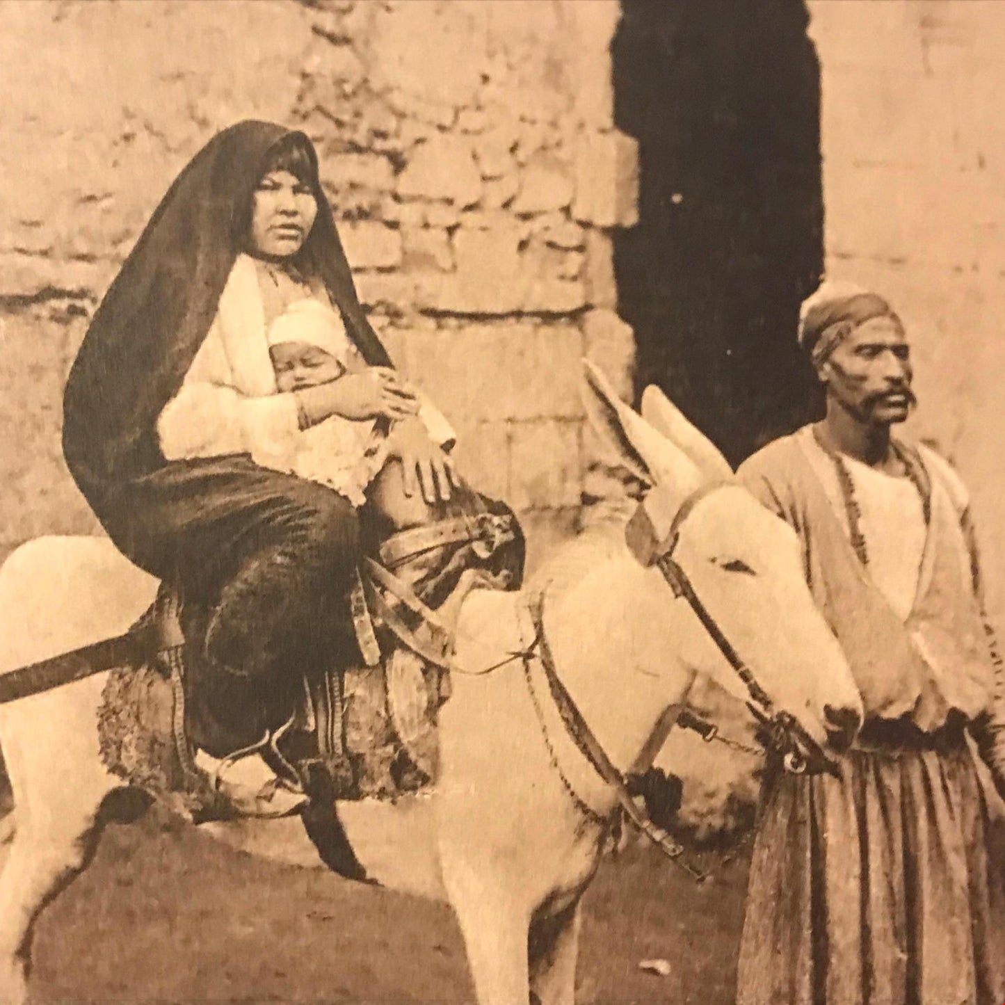 Vintage Sepia Postcard Cairo Egypt Family on donkey ready for a journey baby