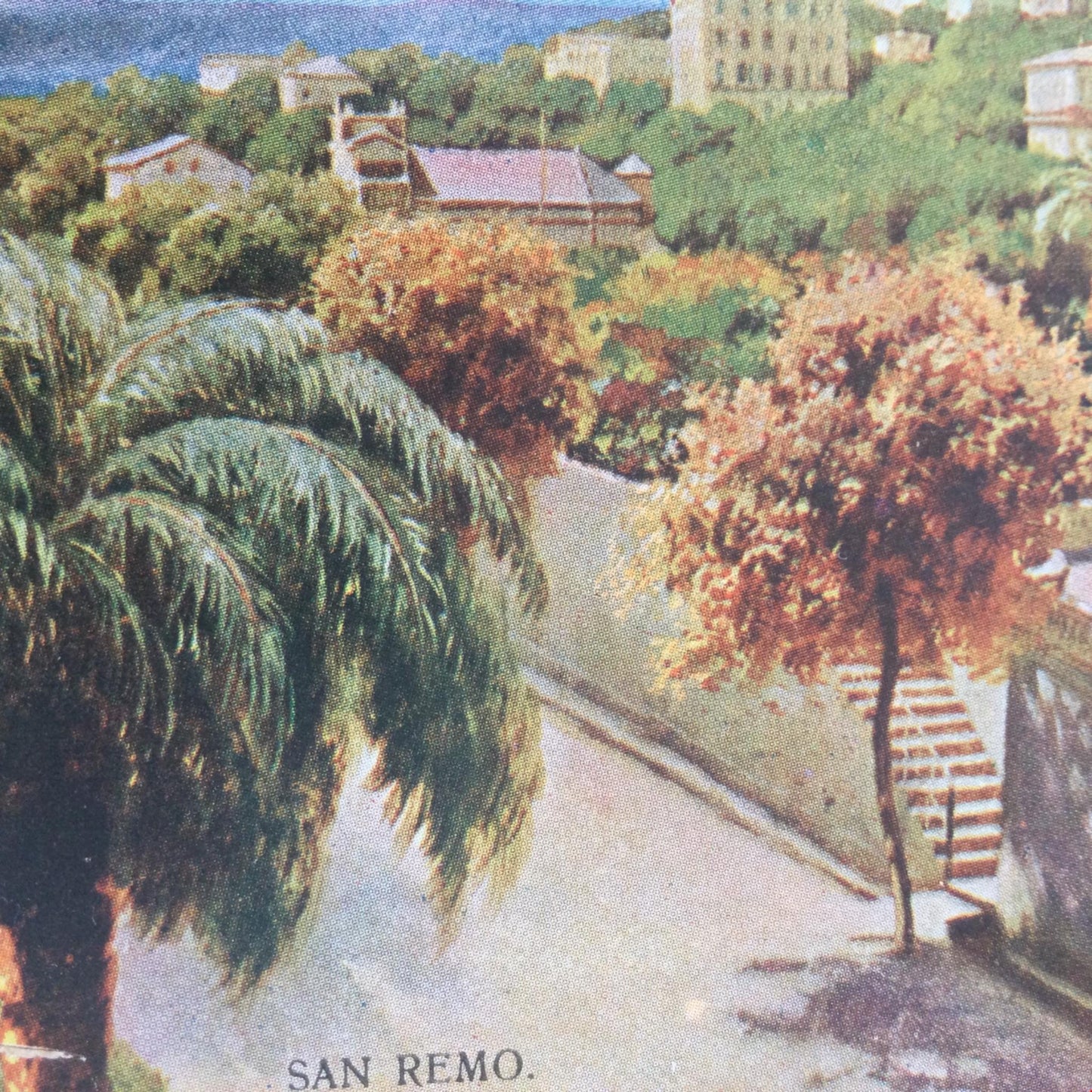 VintagePostcard Italy SAN REMO Posted palm trees coast