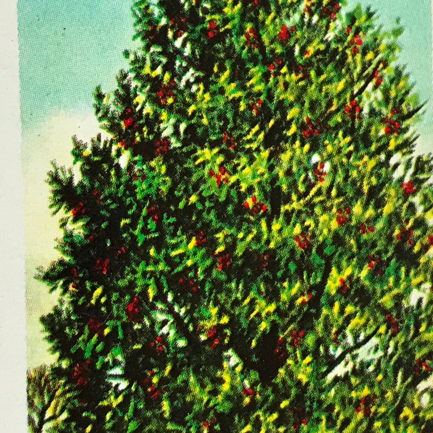 TREES IN BRITAIN Brooke Bond Tea Cards - Sold Individually - take your pick