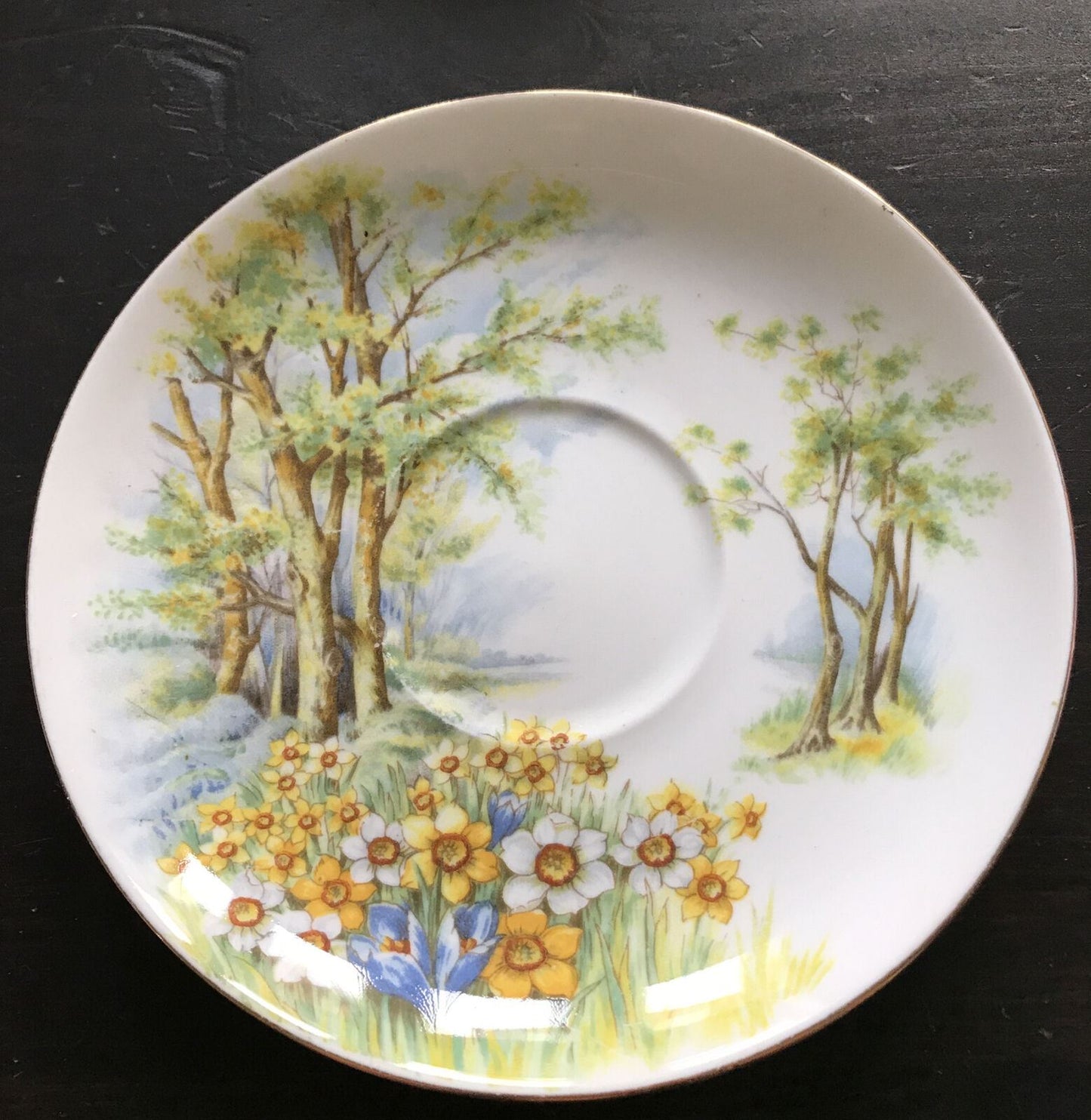 Vintage Shelley Saucer Daffodil Time Floral Trees Pretty Soap Dish Trinket dish