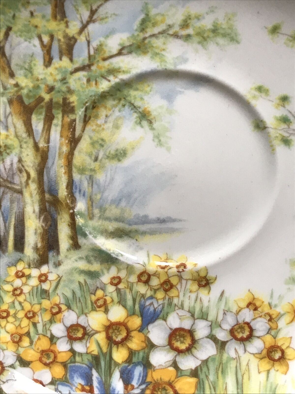 Vintage Shelley Saucer Daffodil Time Floral Trees Pretty Soap Dish Trinket dish