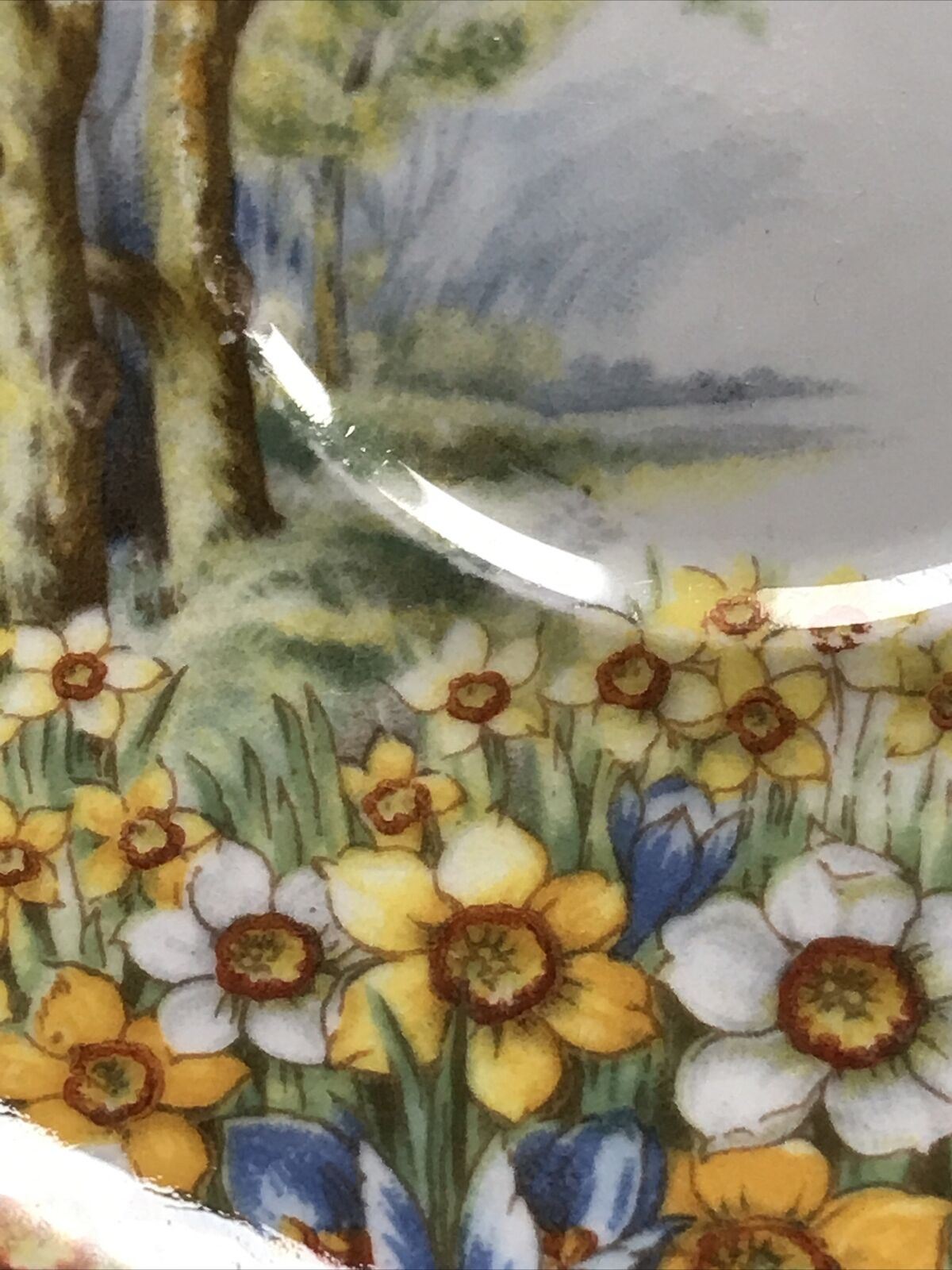 Vintage Shelley Saucer Daffodil Time Floral Trees Pretty Soap Dish Trinket dish