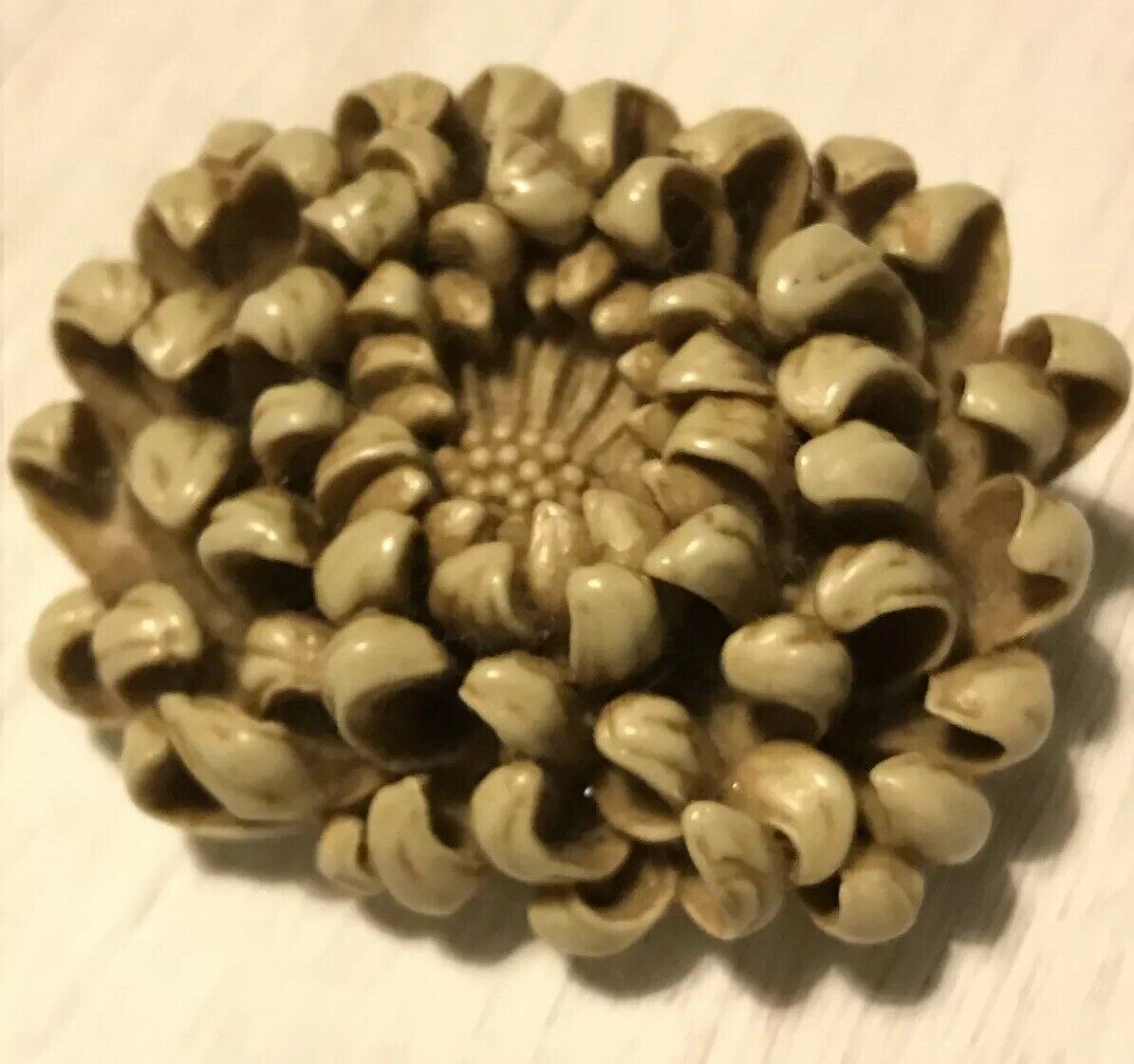 VINTAGE BROOCH  Resin/early Plastic. Large Flower Chrysanthemum. 3D. Sculptural.