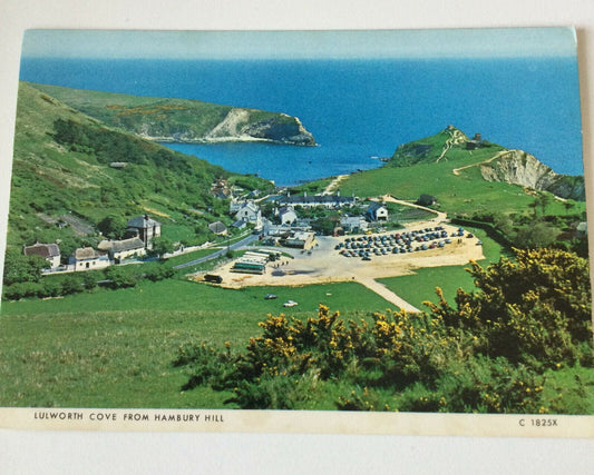 Vintage Postcard Lulworth Cove Hambury Hill Dorset Hills Coastline Sea Judges