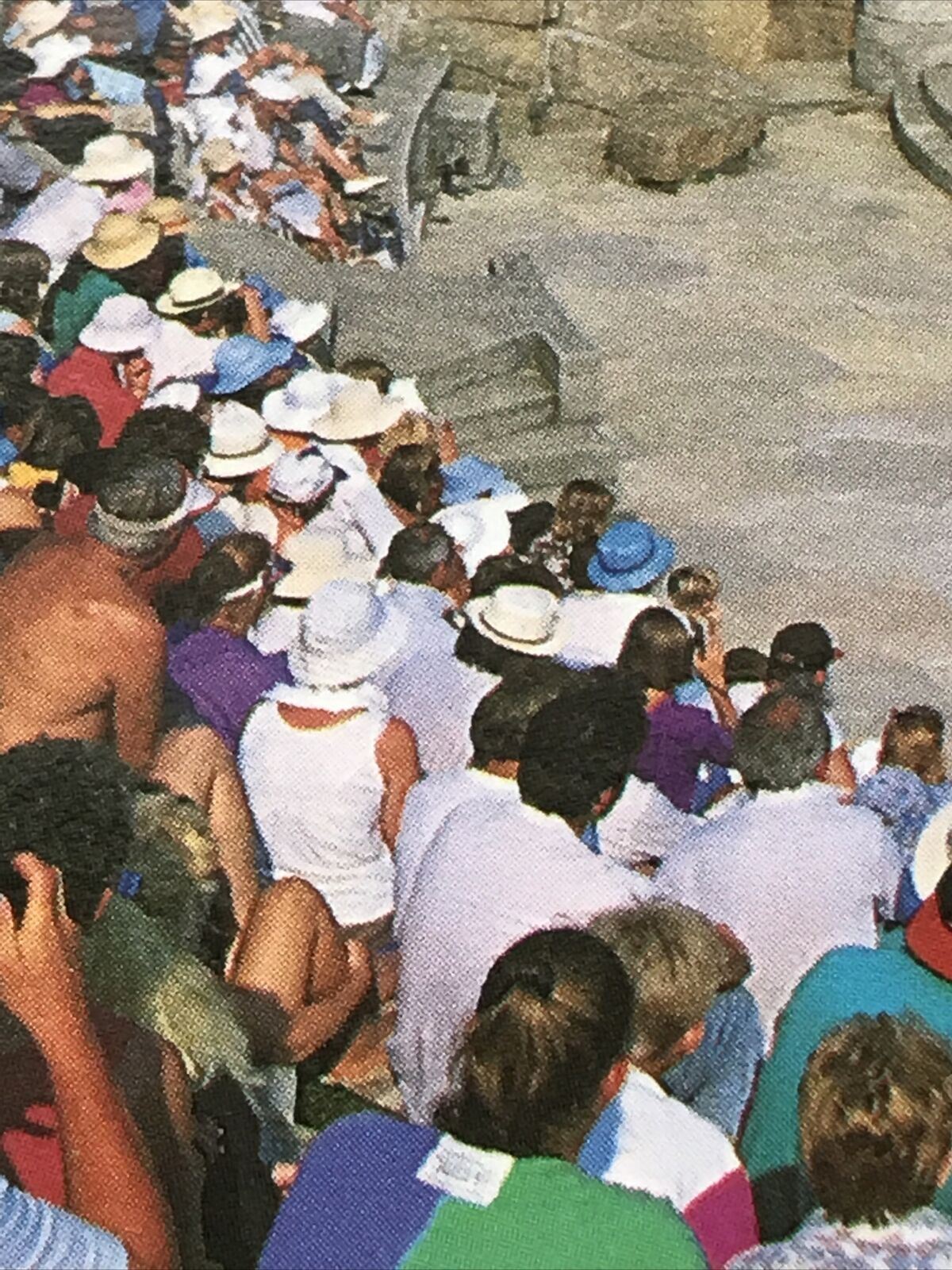 Postcard The Minack Theatre Porthcurno Cornwall The Rivals Questors Theatre